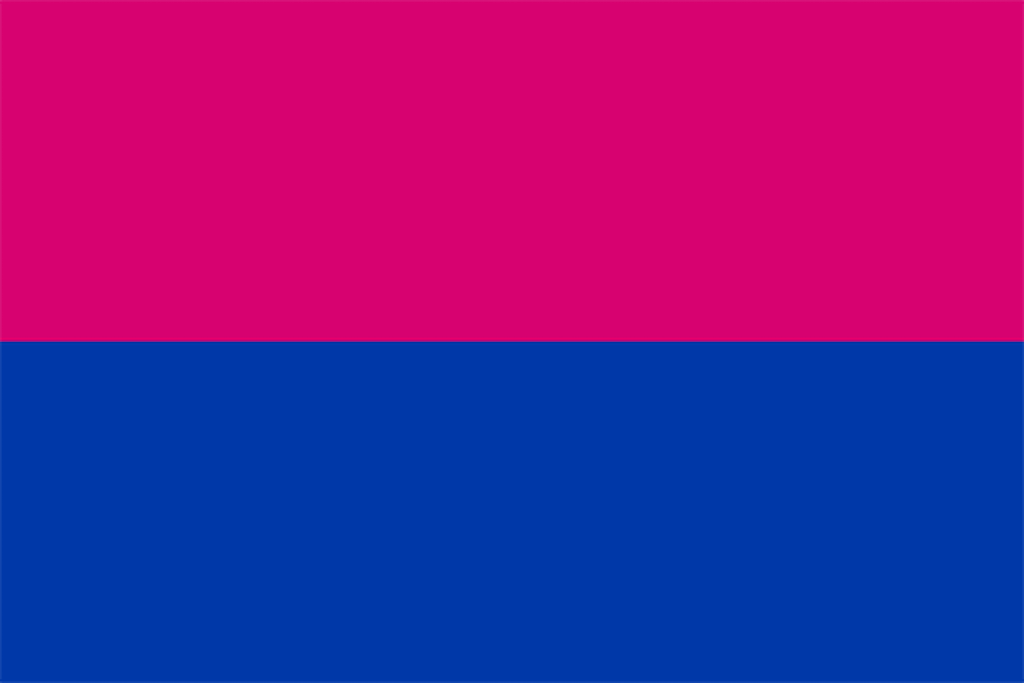 cisgender flag